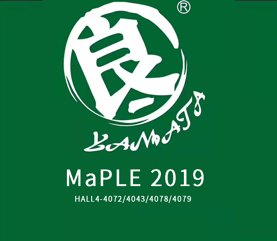 See You at MaPLE 2019