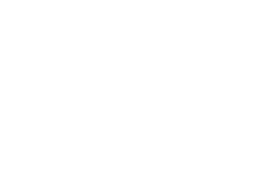 描述